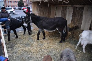 V spotkanie bożonarodzeniowe fotorelacja