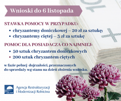 Grafika z informacjami dotyczącymi wsparcia dla sprzedawców chryzantem