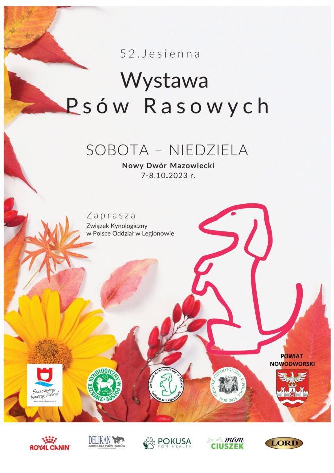 plakat promujący wystawę psów