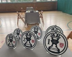 na stoliku statuetki, w tle stanowiska do gry oraz wnętrze hali gimnastycznej