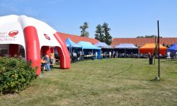 teren pikniku, namioty wystawiennicze