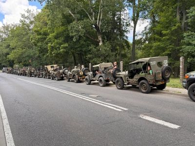jeepy willys zaparkowane wzdłuż drogi