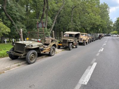 jeepy willys zaparkowane wzdłuż drogi