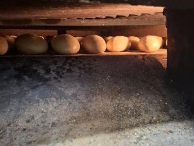 chleby podczas pieczenia w piecu