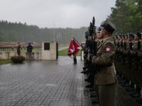 Wojsko podczas uroczystości w Palmirach