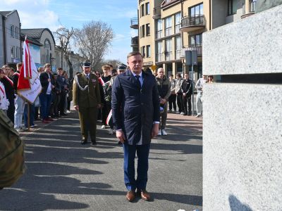 Wicestarosta Nowodworski