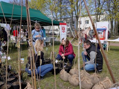 uczestnicy oglądający sadzonki drzew
