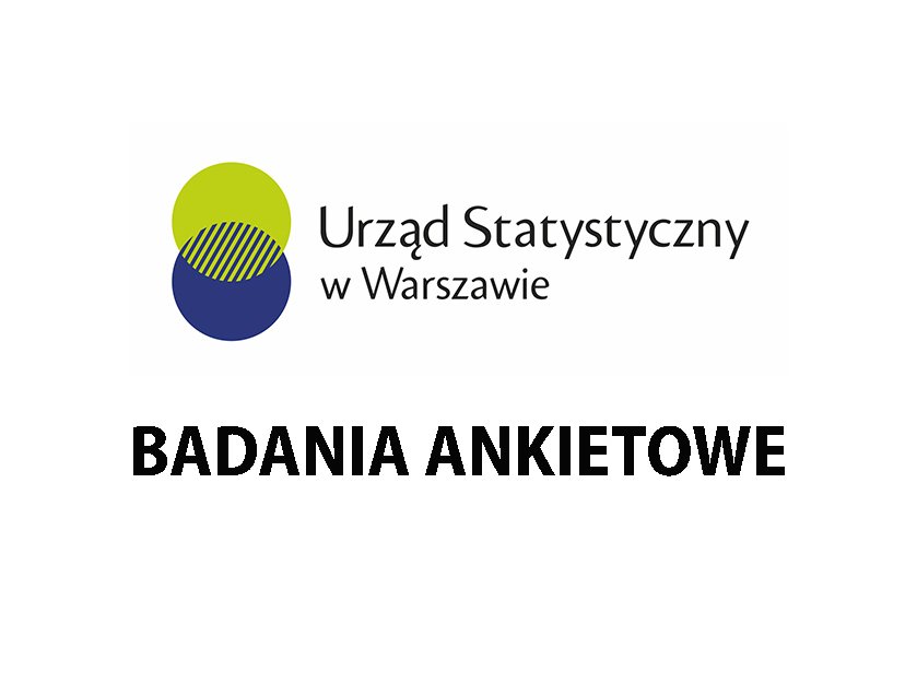 Statystyczne badania ankietowe w 2024 r.