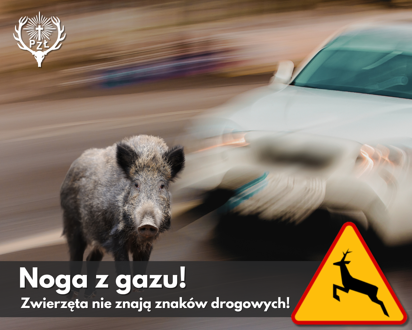 Noga z gazu