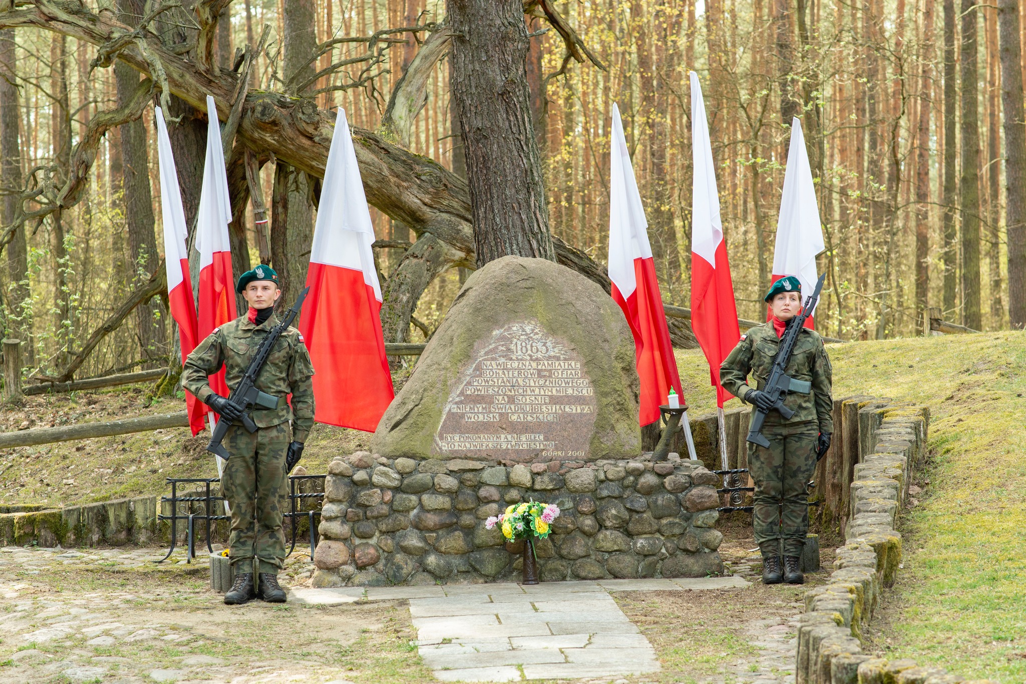 Warta przy Sośnie Powstańców